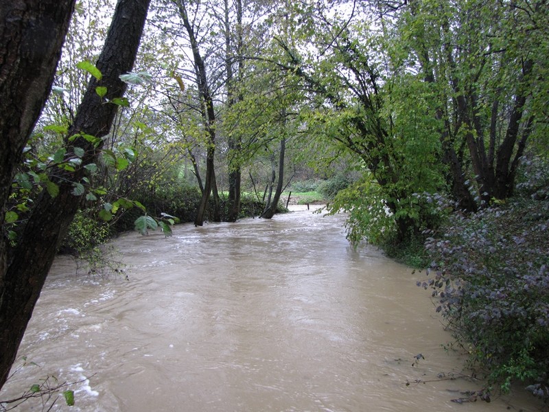 PLUIE 10-11-2012 019.jpg